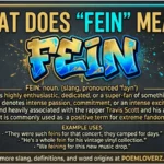 fein mean in text