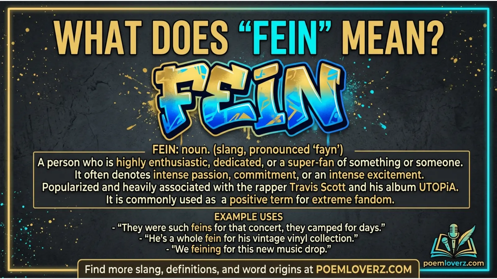fein mean in text