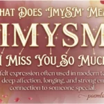 imysm mean in text