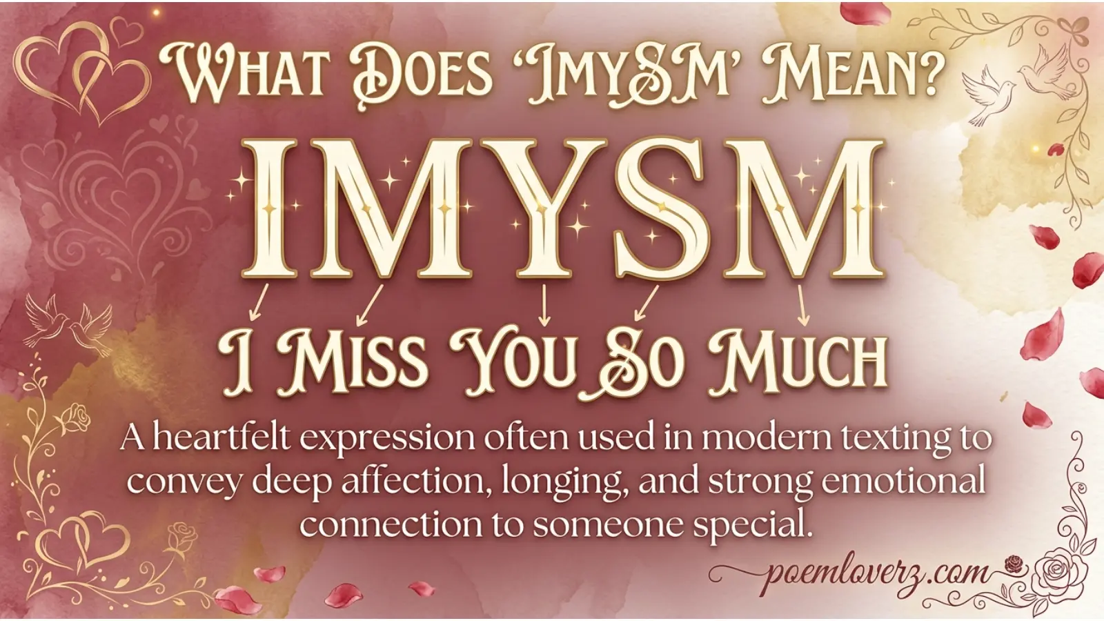 imysm mean in text