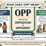 opp mean in text