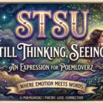 stsu mean in text